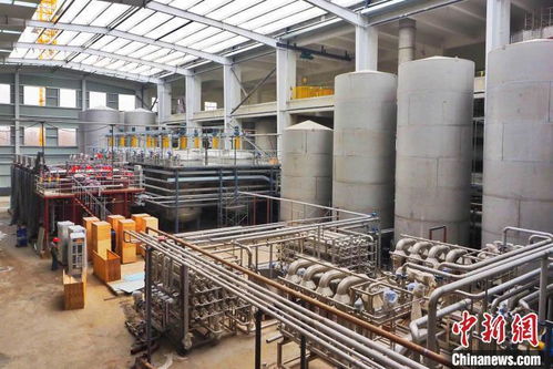 全國產(chǎn)糧大縣 德州平原做強(qiáng)農(nóng)產(chǎn)品深加工 打造中國北方 食谷