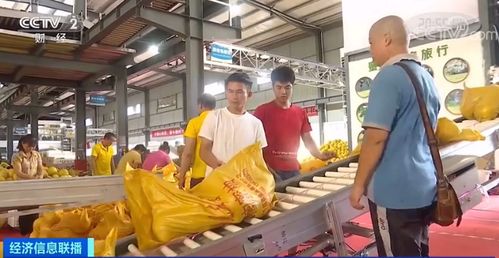 黃金果上市季 單店日銷(xiāo)破十萬(wàn)，全國(guó)電石產(chǎn)業(yè)再引關(guān)注